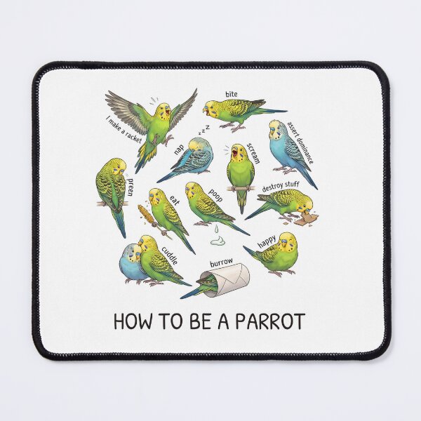 Item preview, How to be a Parrot Budgerigar Parrot Mom Dad Lover designed and sold by TerryConnells.