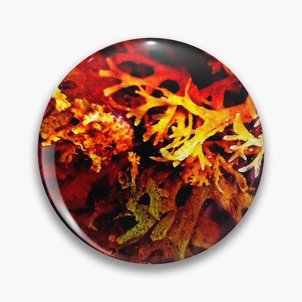 Item preview, processing the dye  designed and sold by Murph's Images.