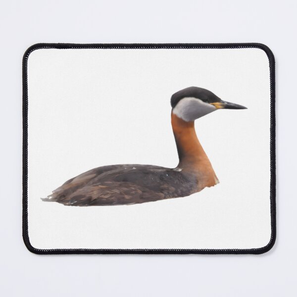 Item preview, Red-necked Grebe designed and sold by HOMETOWN86.