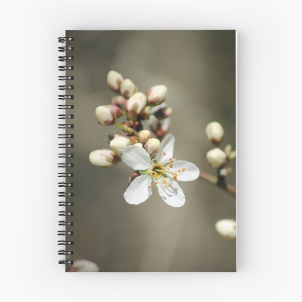 Item preview, Spring Doing it's Thing designed and sold by Murph's Images.