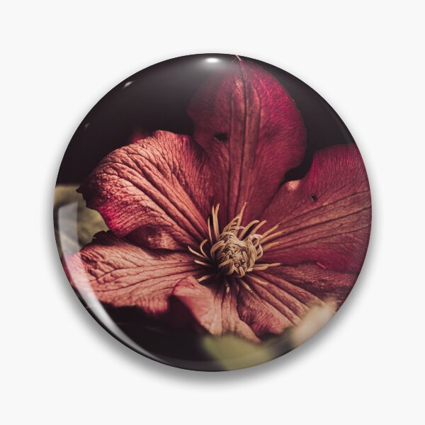 Item preview, A close-up of a purple clematis flower on a dark background. designed and sold by RinaZik.