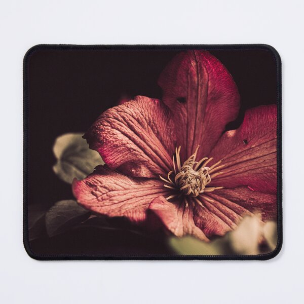 Item preview, A close-up of a purple clematis flower on a dark background. designed and sold by RinaZik.