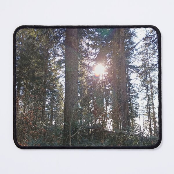 Item preview, Sunlight in the winter forest between tall trees designed and sold by Art by M.H..