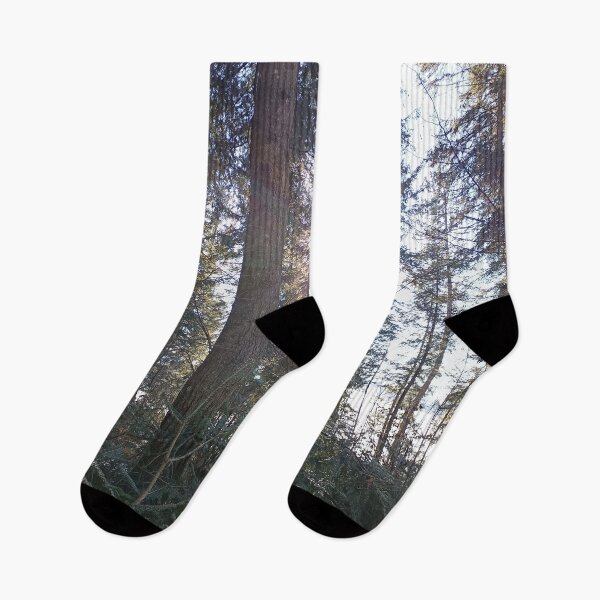 Item preview, Sunlight in the winter forest between tall trees designed and sold by Art by M.H..