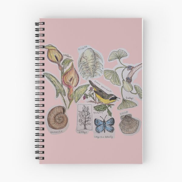 Item preview, Collage of Natural History Hand Drawn designed and sold by HouseplantsAndScamps.