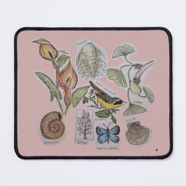 Item preview, Collage of Natural History Hand Drawn designed and sold by HouseplantsAndScamps.