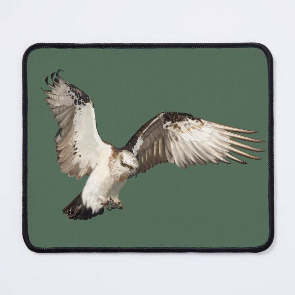 Item preview, Osprey on the wing designed and sold by Windswell.