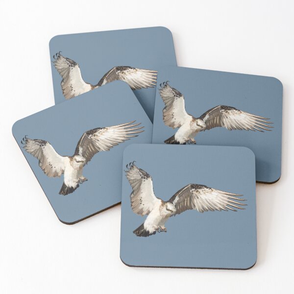 Item preview, Osprey on the wing designed and sold by Windswell.