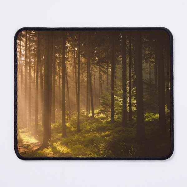 Item preview, Enlightened Forest – Golden Morning Sunbeams designed and sold by Tomas Hudolin.