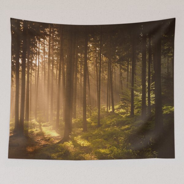 Artikelvorschau, Erleuchteter Wald – Goldene Morgensonnenstrahlen entworfen und verkauft von Tomas Hudolin.