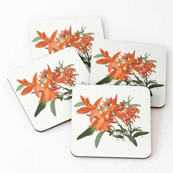 Item preview, Orange Epidendrum Orchid designed and sold by Susan Savad.