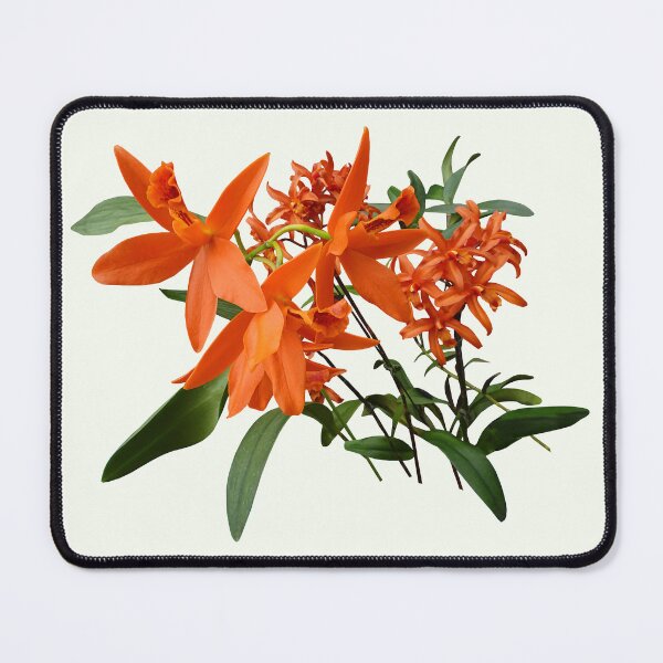 Item preview, Orange Epidendrum Orchid designed and sold by Susan Savad.