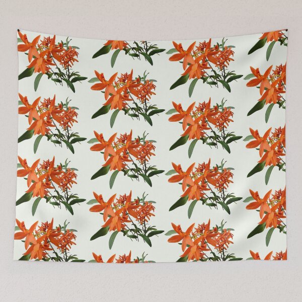 Item preview, Orange Epidendrum Orchid designed and sold by Susan Savad.