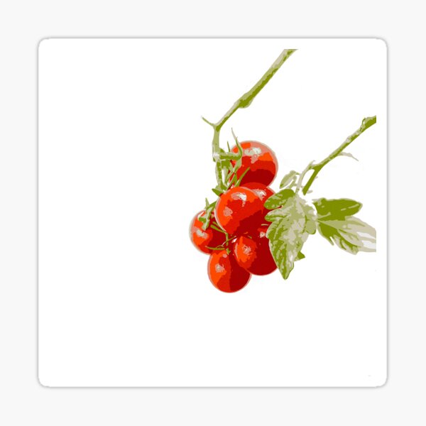 Red Cherry Tomatoes Sticker