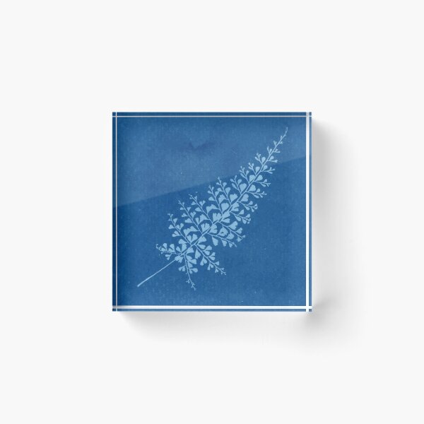 Item preview, Fern leaf, Cyanotype, blue sunprint art, experimental photography designed and sold by SWSandraWechner.