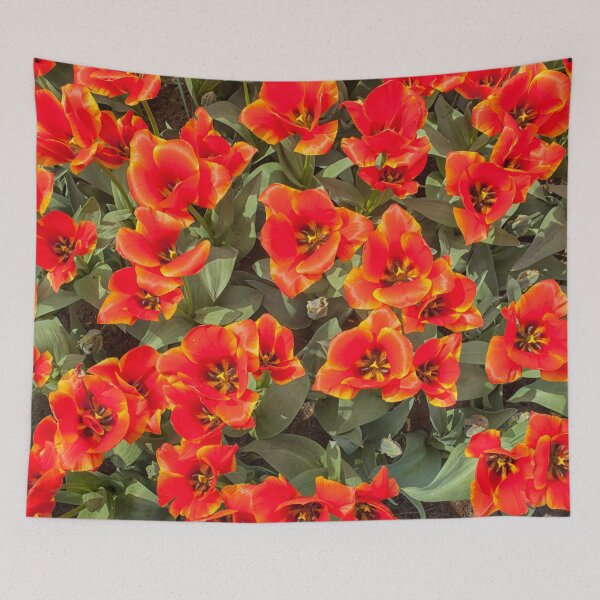 Item preview, Red tulips designed and sold by Photopat.