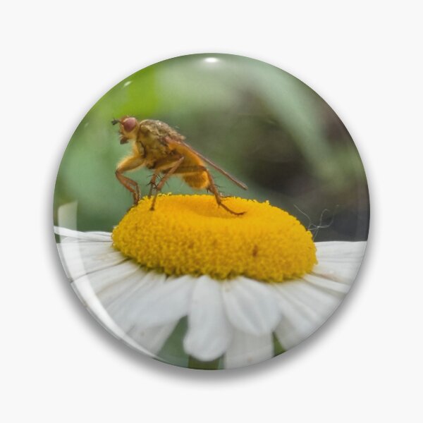 Item preview, Golden Fly on Daisy designed and sold by CJ-Nature-Art.