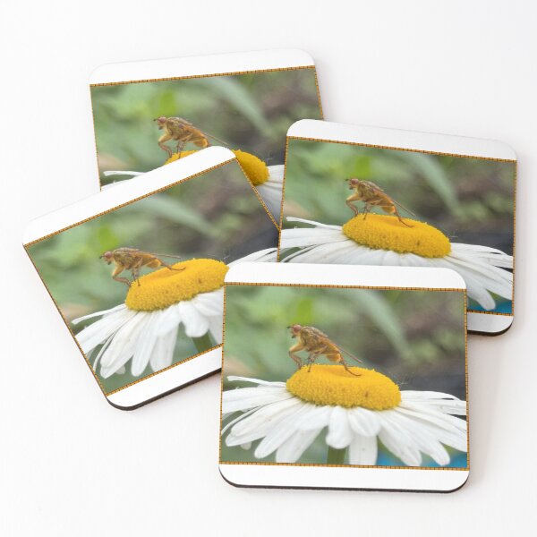 Item preview, Golden Fly on Daisy designed and sold by CJ-Nature-Art.