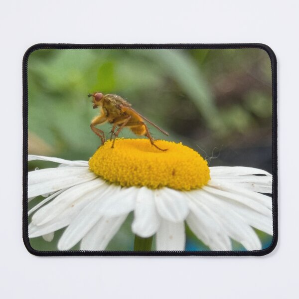 Item preview, Golden Fly on Daisy designed and sold by CJ-Nature-Art.