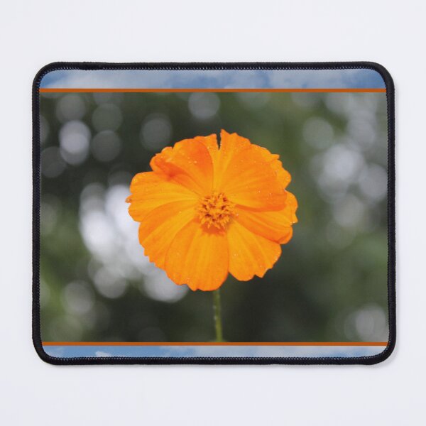 Item preview, Cosmo and Blue Sky designed and sold by CJ-Nature-Art.