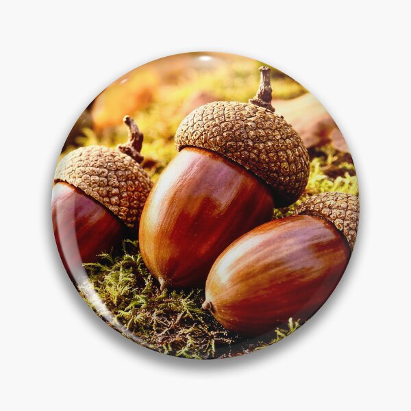 Item preview, Acorns in the autumn forest designed and sold by Steffani Lehmann.