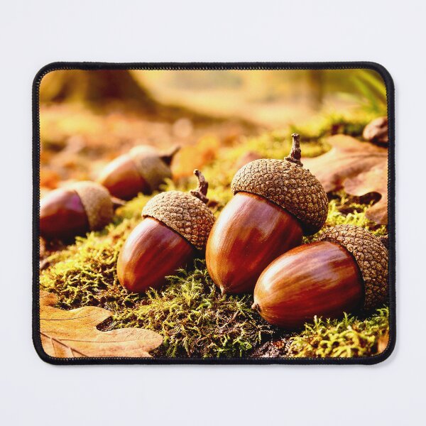Item preview, Acorns in the autumn forest designed and sold by Steffani Lehmann.