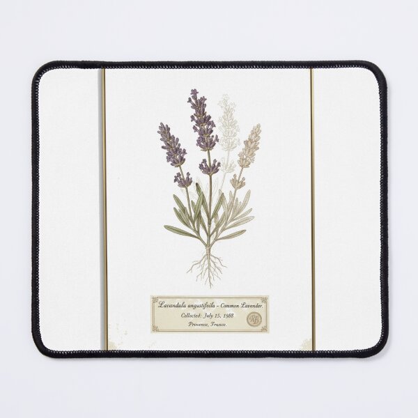 Item preview, Vintage Pressed Lavender Herbarium Aesthetic Design designed and sold by FiveBlessings.