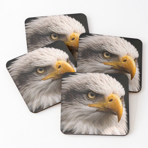 Item preview, A high-detail close-up of a bald eagle's head, showcasing its piercing yellow eye and sharp beak against a dark background. designed and sold by Dreamy Armine Art.