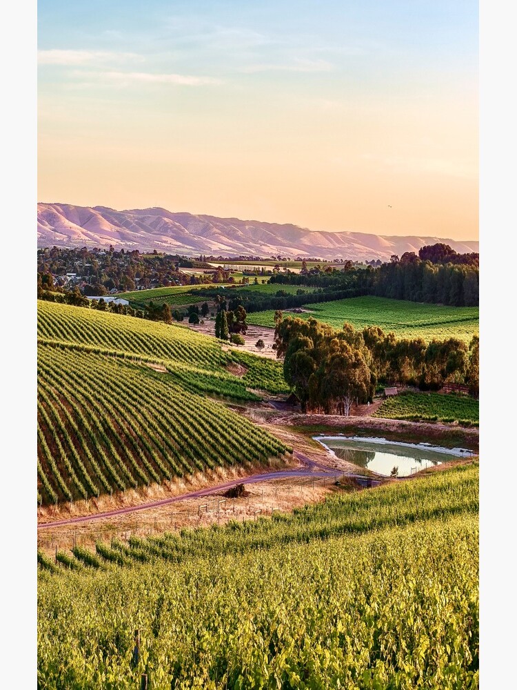 McLaren Vale Magic by RayW