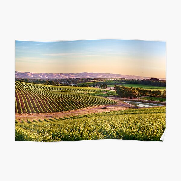 McLaren Vale Magic Poster