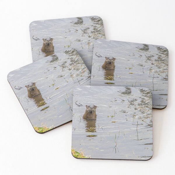 Item preview, Otter in Kissimmee Pond 1 designed and sold by jrtwynam.