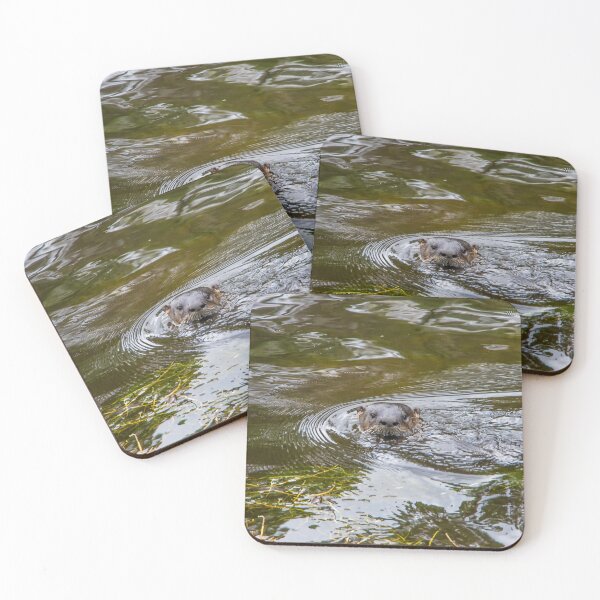 Item preview, Otter in Kissimmee Pond 2 designed and sold by jrtwynam.