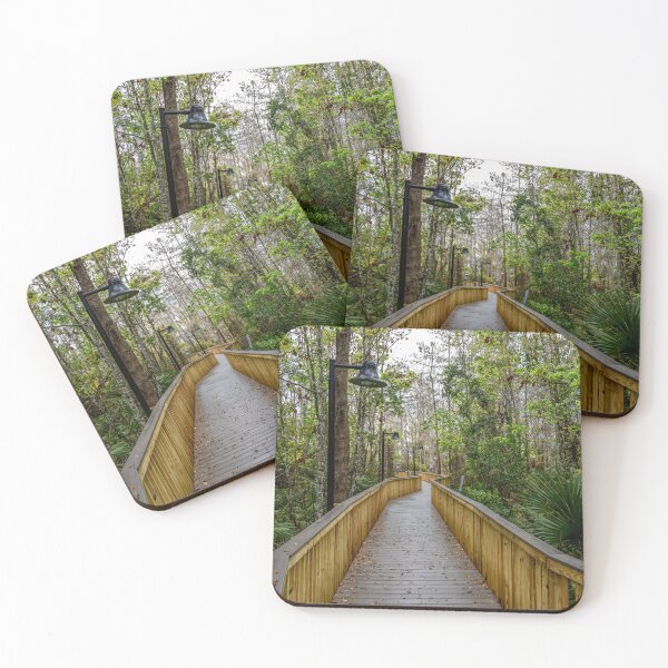 Item preview, Serene Boardwalk in Kissimmee designed and sold by jrtwynam.