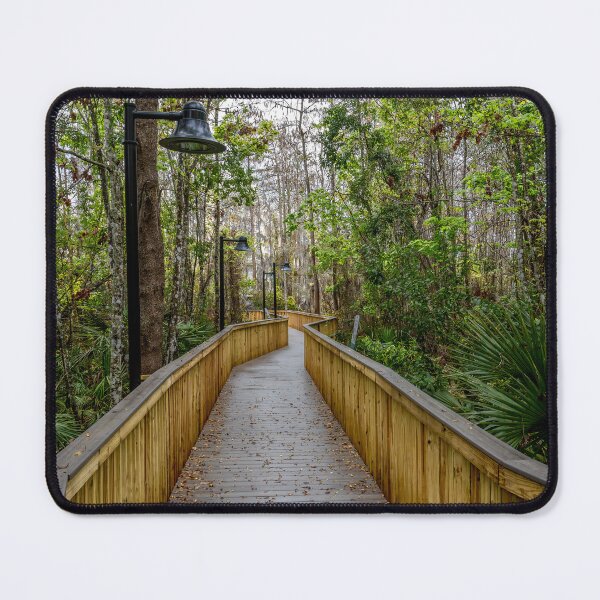 Item preview, Serene Boardwalk in Kissimmee designed and sold by jrtwynam.