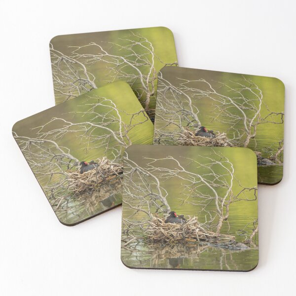 Item preview, Kennet and Avon Canal, Wiltshire designed and sold by Martin Stokes Photography.