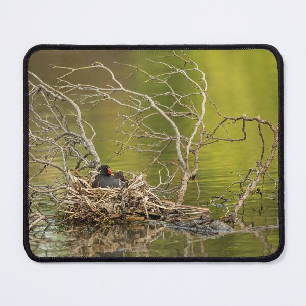 Item preview, Kennet and Avon Canal, Wiltshire designed and sold by Martin Stokes Photography.