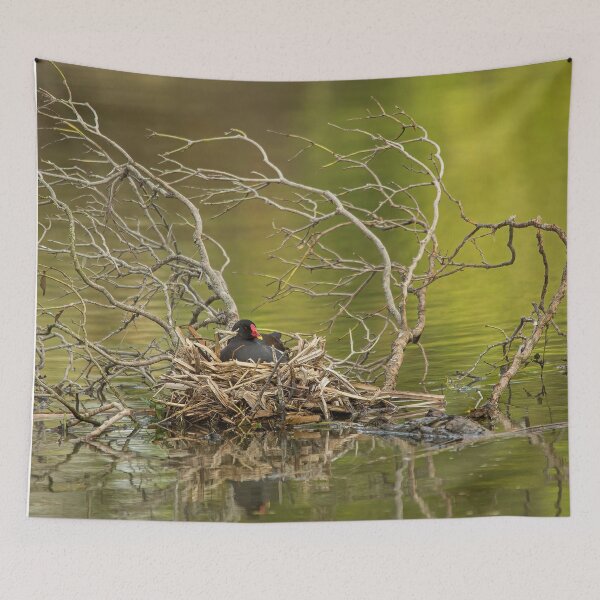 Item preview, Kennet and Avon Canal, Wiltshire designed and sold by Martin Stokes Photography.
