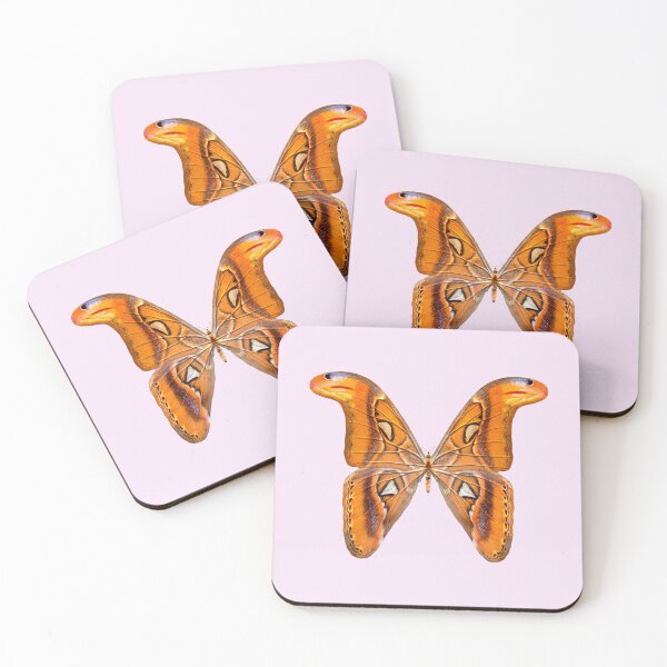 Item preview, Atlas Moth Golden Wing designed and sold by Vac1.
