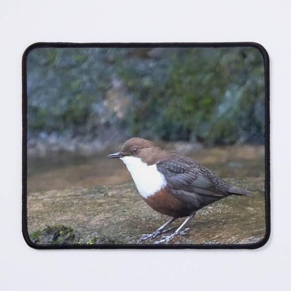 Item preview, The Dipper designed and sold by Martin Stokes Photography.