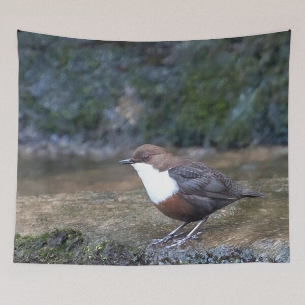 Item preview, The Dipper designed and sold by Martin Stokes Photography.
