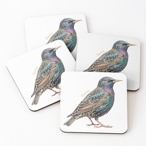 Item preview, Starling bird, Garden Bird designed and sold by iclipart.