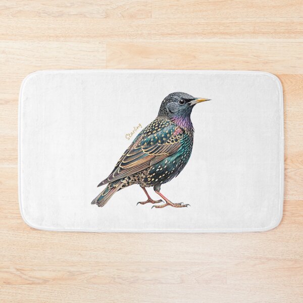 Item preview, Starling bird, Garden Bird designed and sold by iclipart.