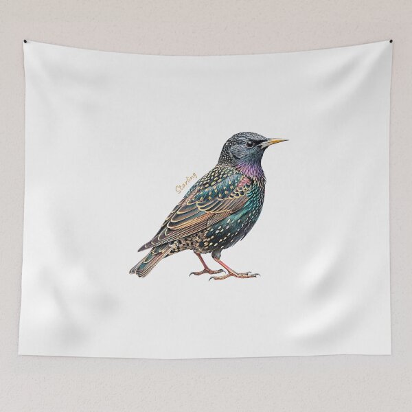 Item preview, Starling bird, Garden Bird designed and sold by iclipart.
