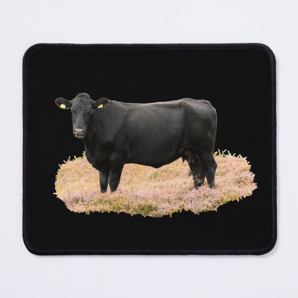 Item preview, Aberdeen Angus Placement Print designed and sold by Jane Stanley Photography.