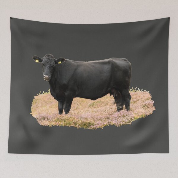 Item preview, Aberdeen Angus Placement Print designed and sold by Jane Stanley Photography.