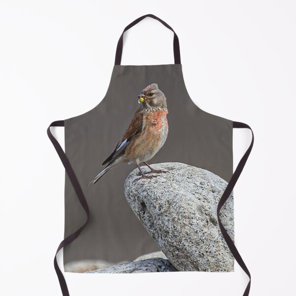 Item preview, Linnet Perched on a Pebble designed and sold by Martin Stokes Photography.