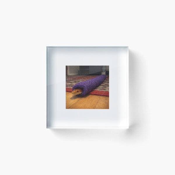 Item preview, Corn snake peeking from purple sleeve designed and sold by donchago.