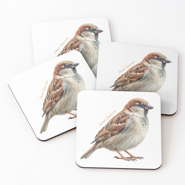 Item preview, House Sparrow  bird, Garden Bird designed and sold by iclipart.