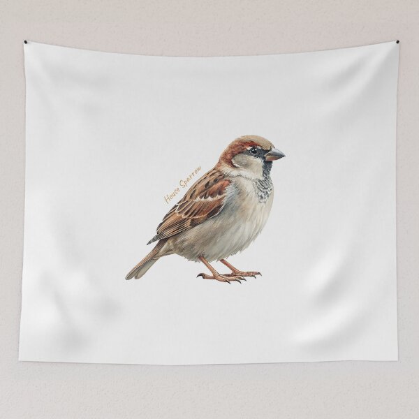 Item preview, House Sparrow  bird, Garden Bird designed and sold by iclipart.