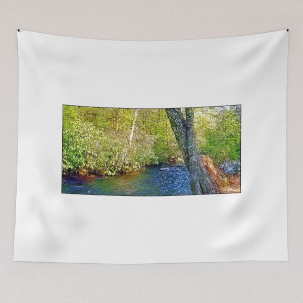 Item preview, Wilderness Stream, Pocono Mountains, Pennsylvania designed and sold by AMacGPhilly.